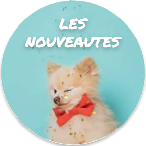 Bulle 1