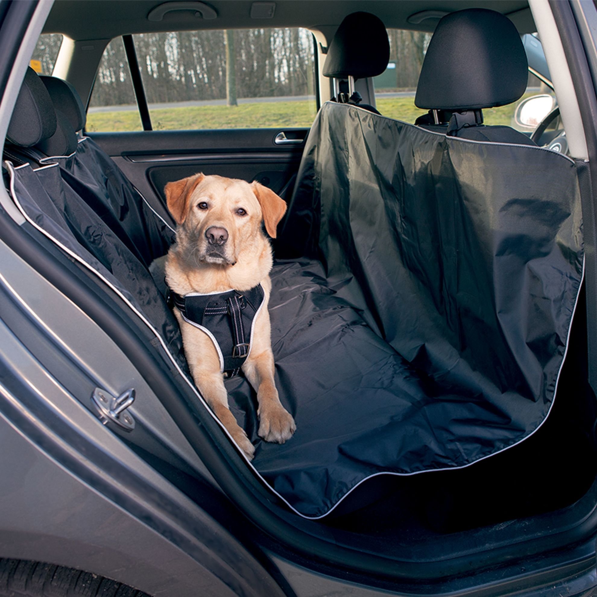 Housse de siège avant de voiture pour chien, tapis de transport