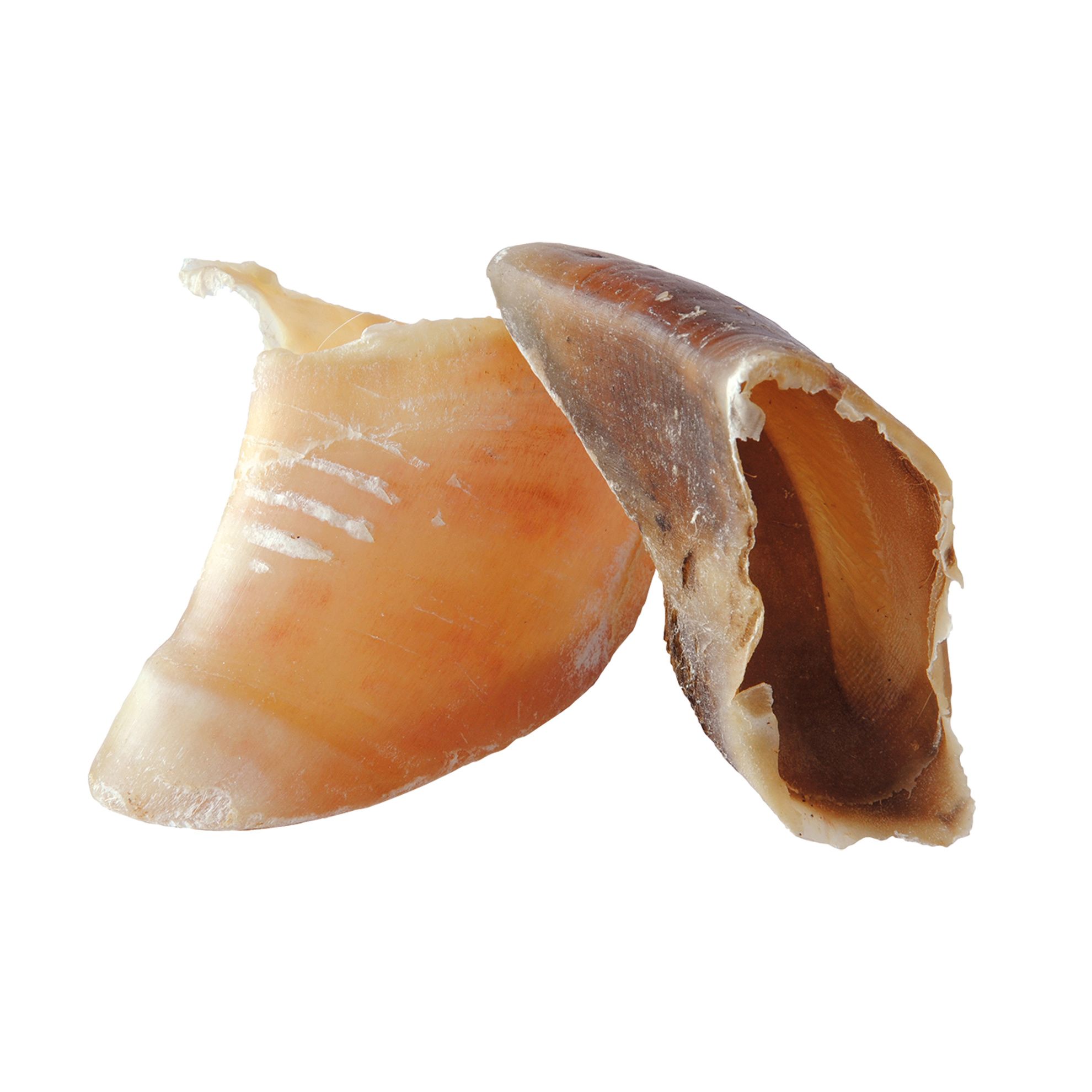 Sabots de veau sac de 100 pièces Os, cornes et bois Chadog Diffusion