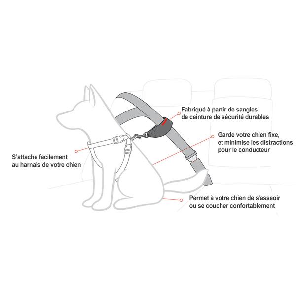 Attache ceinture de sécurité pour chien - Transport en voiture