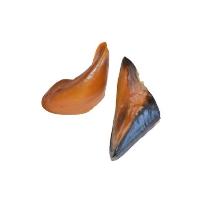 Kit d'outils pour maréchal-ferrant : kit de soins pour sabots
